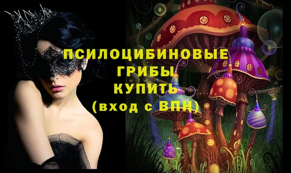 ешки Богородск