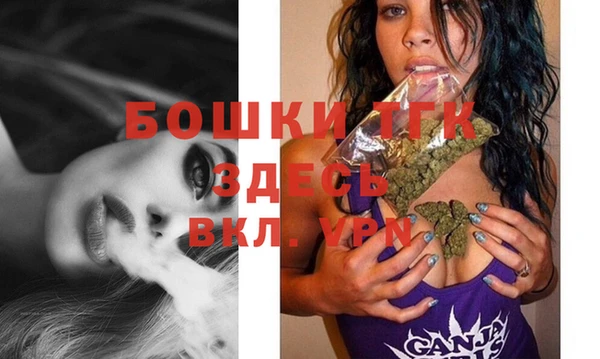 стафф Богданович