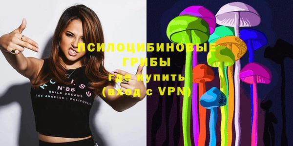 стафф Богданович