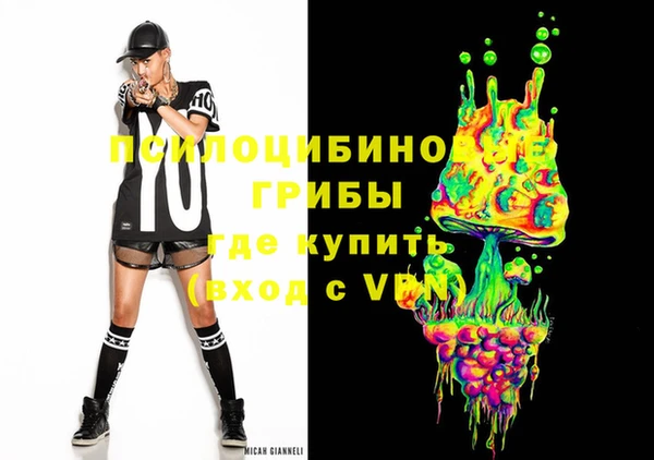 стафф Богданович