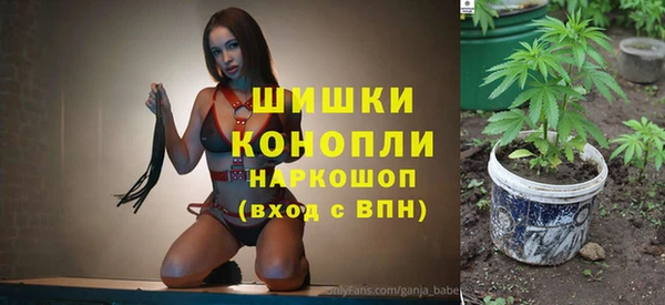 стафф Богданович