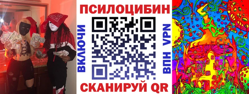 Галлюциногенные грибы мицелий  купить наркотики цена  Томск 