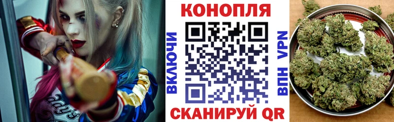 Шишки марихуана план Томск